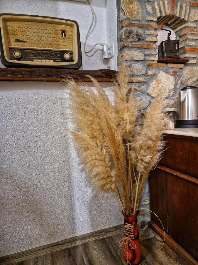 הוילה Roč Casa Luana מראה חיצוני תמונה